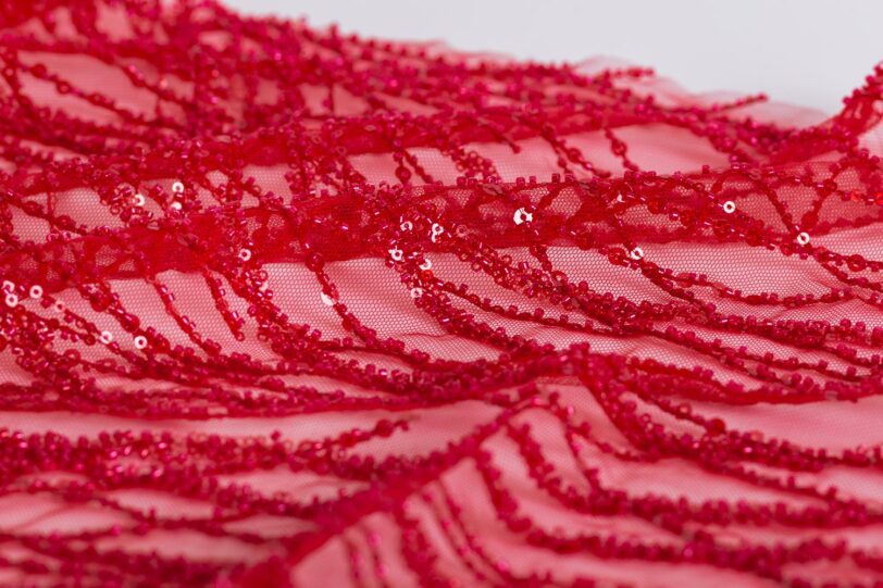 Tulle Bordado Folie - Image 4
