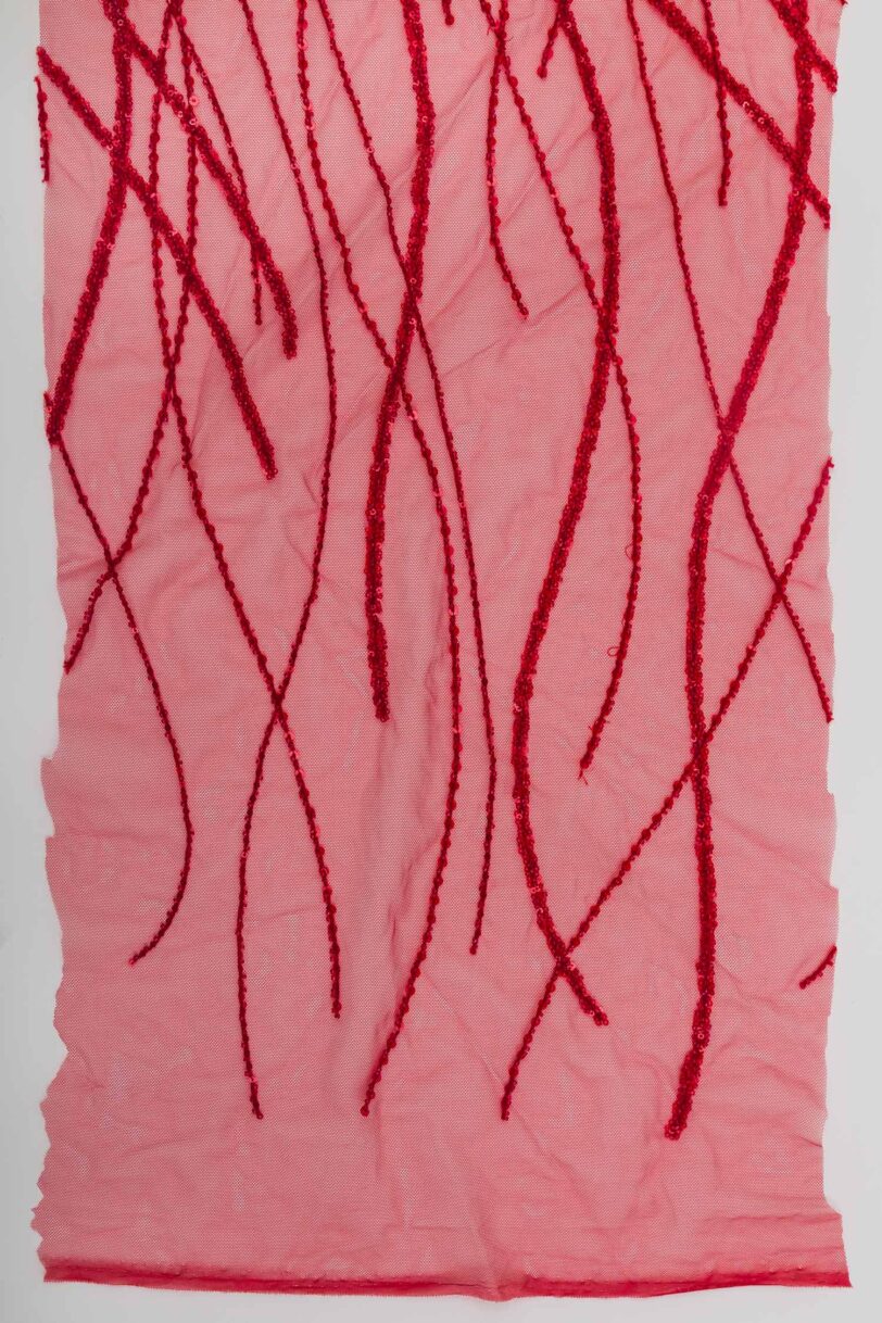 Tulle Bordado Folie - Image 6