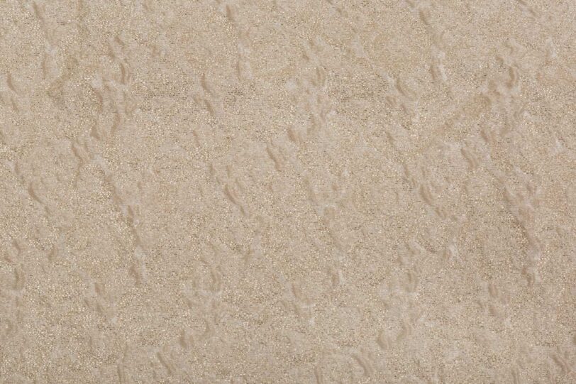Jacquard Cille - Image 2