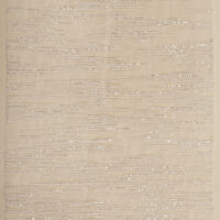 Tulle Bordado Celestial - Image 4