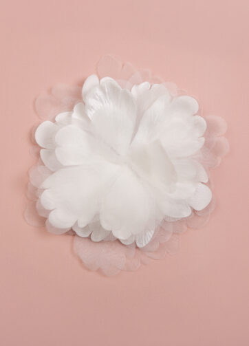 Aplicação 3D Floral