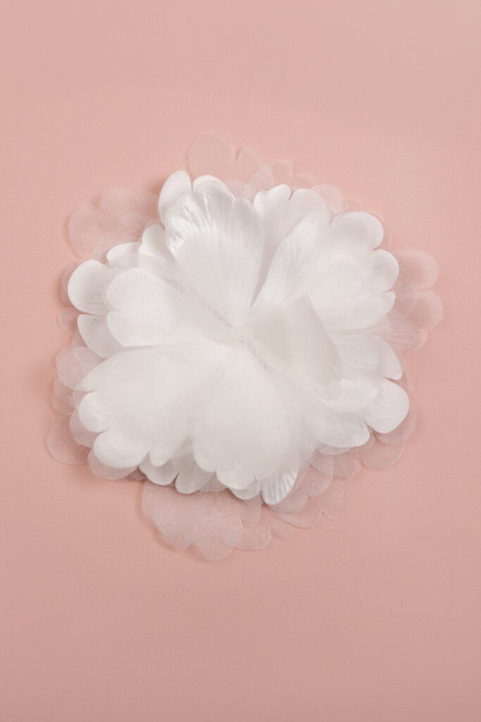 Aplicação 3D Floral