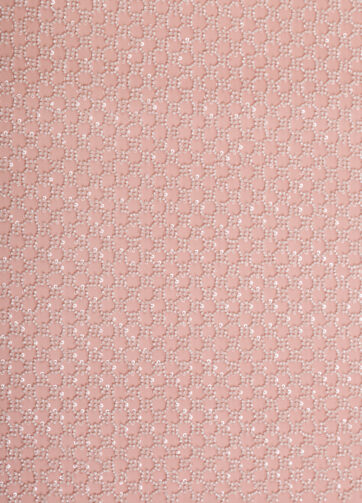 Tulle Bordado Coral